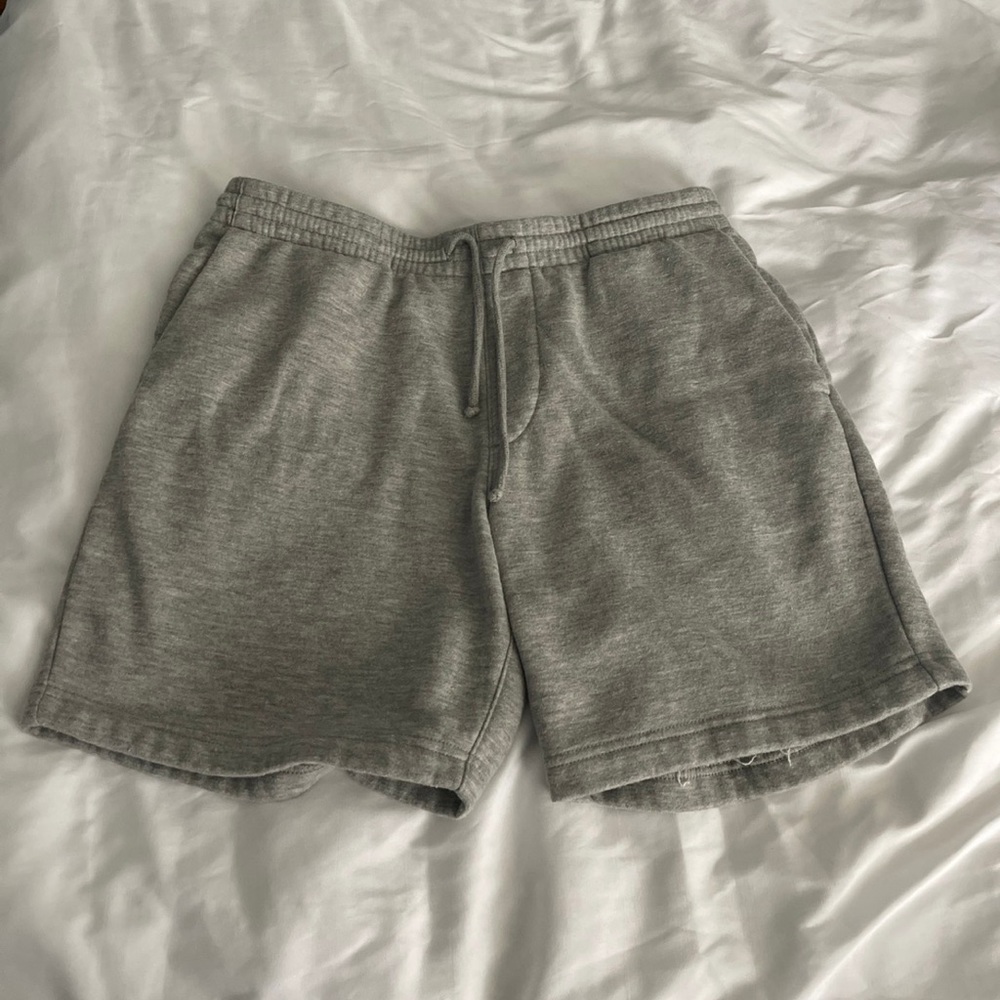 Pacsun Medium Volley Shorts